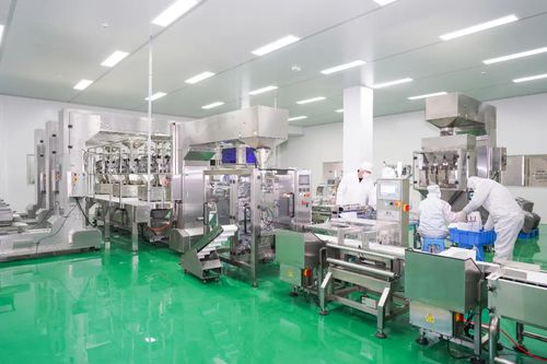 閩籍企業昆山再啟新程，速品食品新工廠奠基，黃亞強會長親臨見證